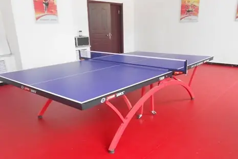 乒乓球运动地板
